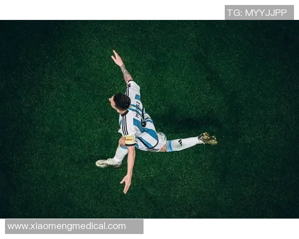 世界杯足球明星全方位解析与球技风采展示