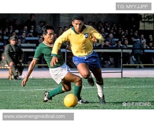 巴西足球桑巴球星闪耀绿茵展现激情舞步书写传奇篇章 巴西足球桑巴球星闪耀绿茵展现激情舞步书写传奇篇章